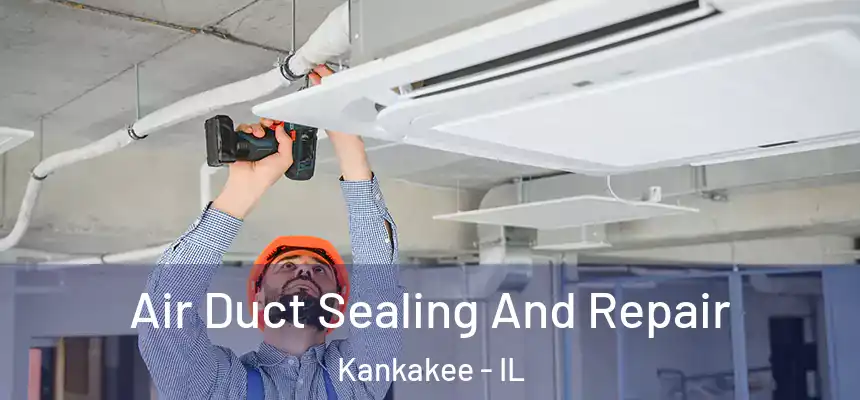  Air Duct Sealing And Repair Kankakee - IL
