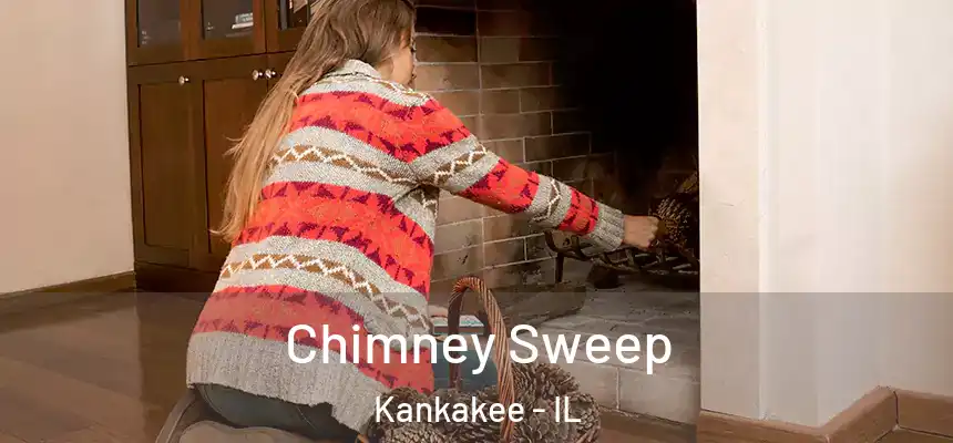  Chimney Sweep Kankakee - IL