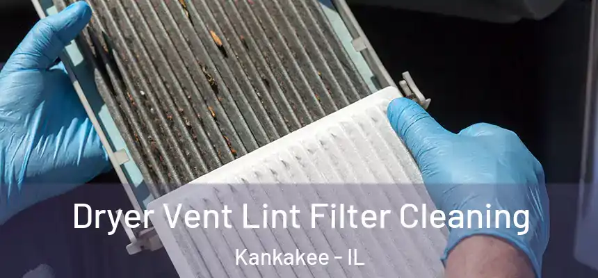  Dryer Vent Lint Filter Cleaning Kankakee - IL