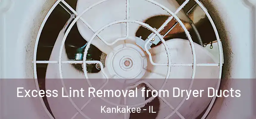 Excess Lint Removal from Dryer Ducts Kankakee - IL
