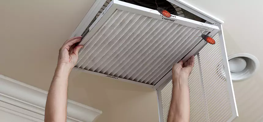 Preventive Cockroach-Proofing for Ducts in Kankakee