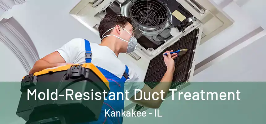  Mold-Resistant Duct Treatment Kankakee - IL