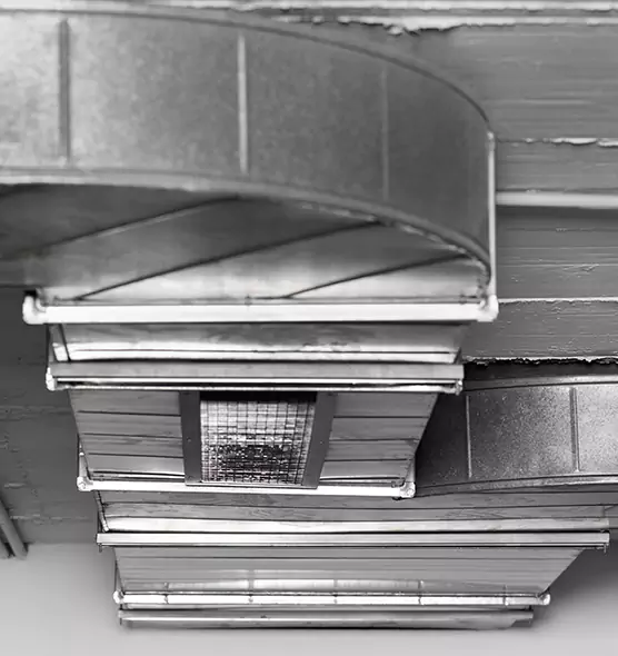 Professional Air Duct Pet Hair Removal in Kankakee, IL