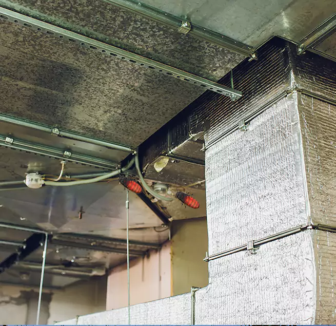 Why Homeowners & Businesses Trust Us in Kankakee, IL?