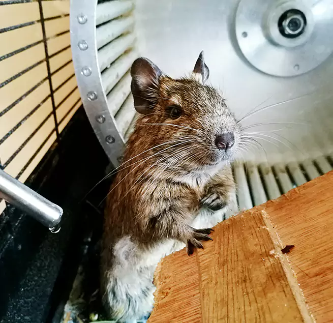 Why Homeowners & Businesses Trust Us Kankakee, IL?