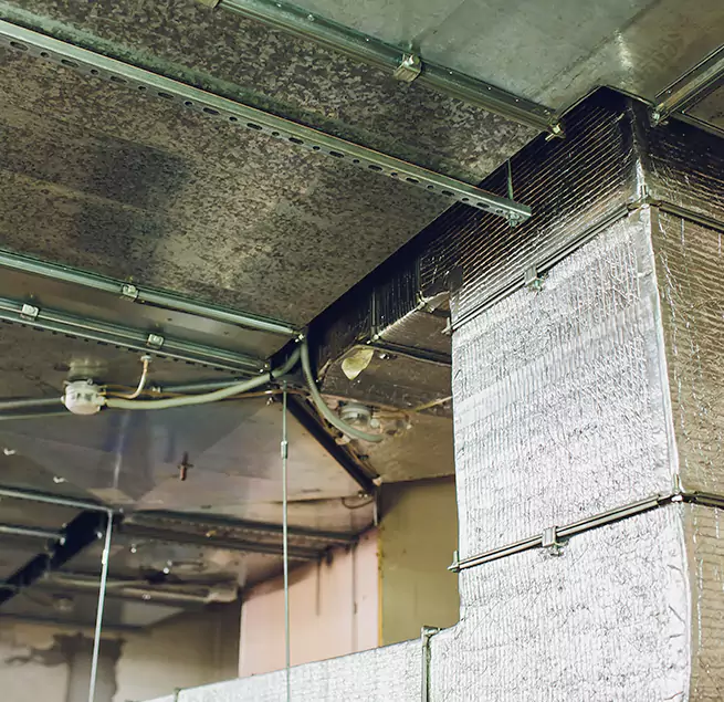 Why Homeowners & Businesses Trust Us in Kankakee, IL?