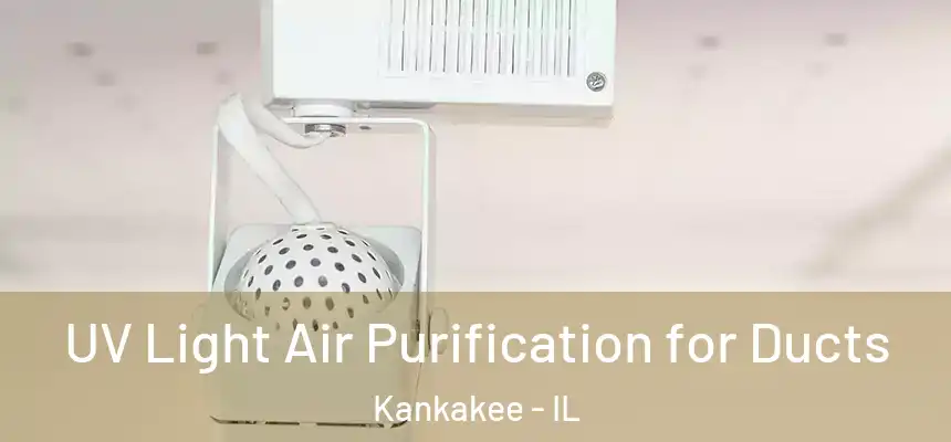  UV Light Air Purification for Ducts Kankakee - IL
